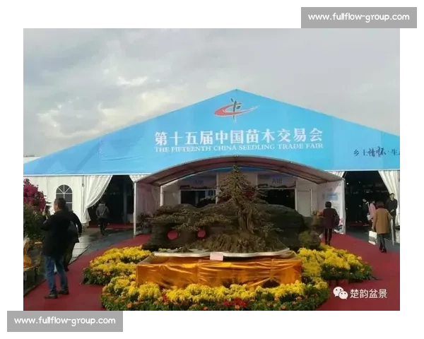 冬奥会运动员选拔赛精彩瞬呈与备战新策略全解析